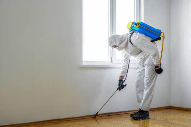 Best Pest Exclusion Services  in Potomac Mills, VA